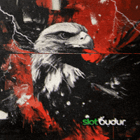 slotbudur beşiktaş kartal slotbudur slotbudurinfo GIF