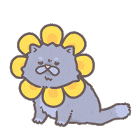 Cat Money Sticker