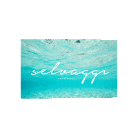 Sticker by Selvaggi Swimwear