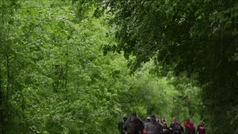 Happy The Amazing Race GIF by CBS