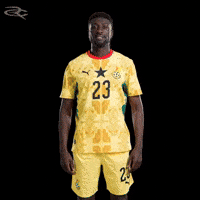 Fifa World Cup Ghana GIF by Respective
