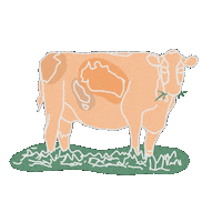 Rendesignca animal hungry cow boho Sticker