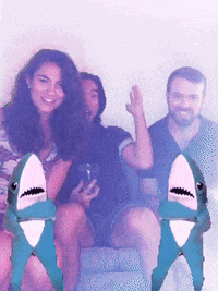 tca16 GIF by GIPHY Frame