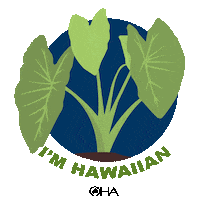 oha_hawaii vote hawaii elections election2020 Sticker