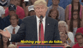 donald trump gop GIF by Election 2016