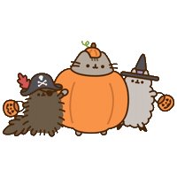 Halloween Witch Sticker by Pusheen