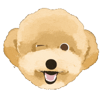 Poodle Sticker
