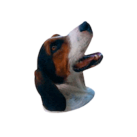 Dog Perros Sticker by doog - good food for happy pets