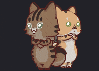 Cat Hello GIF
