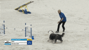 Espn Running GIF by American Kennel Club