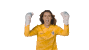 North Carolina Courage Sport Sticker by National Women's Soccer League