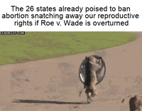Meme gif. A group of three monkeys gathers around a sedan. One of the monkeys grabs the hubcap from one of the car's tires and runs away with it naughtily. Text, "The twenty-six states already poised to ban abortion snatching away our reproductive rights if Roe v. Wade is overturned."