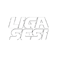 Liga Sticker by Sesi Esporte