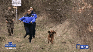 Dog Police GIF by Satisfaction Group
