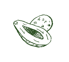 Avocado Papaya Sticker