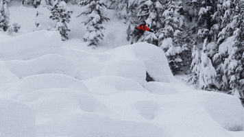 espn snow GIF by X Games 