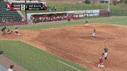 national pro fastpitch softball GIF by USSSA Pride