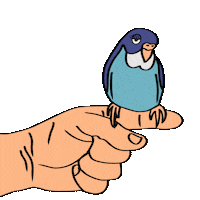 Bird Love Sticker by VetZoo