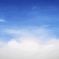 Pokemon Collecting GIF by Pudgy Penguins