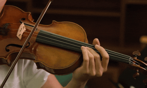 giphyupload GIF