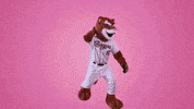 Hotline Bling Dancing GIF by Kane County Cougars