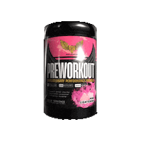 Sticker by Revel Nutrition