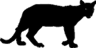 panther STICKER