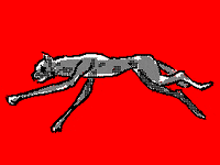 infinitelivez  GIF
