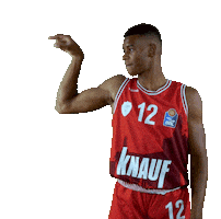 Basketball Bbl Sticker by Sport und Event Würzburg Baskets GmbH