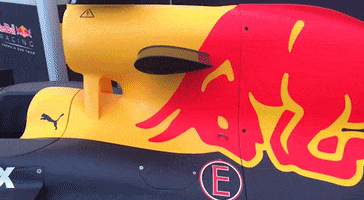Sports gif. Red Bull logo on the side of a formula one car.