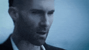 Adam Levine GIF by Maroon 5