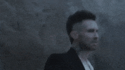 Adam Levine Beach GIF by Maroon 5