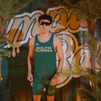 South Florida Horns Up GIF by USF Athletics