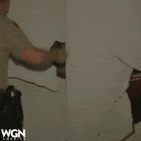 wgnamerica tv show police hide GIF
