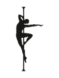 minorpoledancedresden giphyupload poledance pd polefitness Sticker