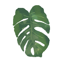 Illustration Style Sticker by katlyn boone