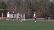 shooting major league lacrosse GIF by ECD Lacrosse