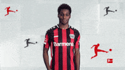 Bayer 04 Hello GIF by Bundesliga