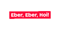 Tradition Hoi Sticker by Linz News