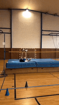 Wow GIF