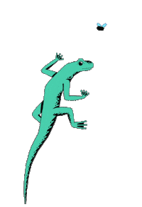 Lizard Chameleon Sticker by Metronomy
