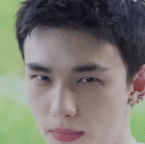 Stray Kids Skz GIF