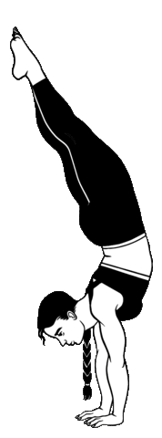 Squat Handstand Sticker by The Benchmark Collection