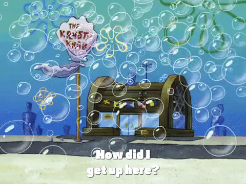 season 4 enemy in-law GIF by SpongeBob SquarePants
