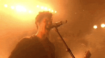 Shawn Mendes GIF by 2024 MTV Video Music Awards
