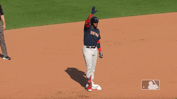 Regular Season Sport GIF by MLB