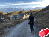 Beeheidi  GIF