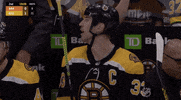 Ice Hockey Yes GIF by NHL