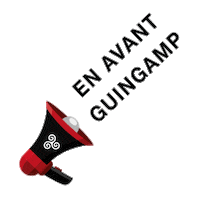 Guingamp Sticker by OuestFrance