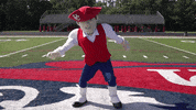 Kentucky Pete GIF by University of the Cumberlands